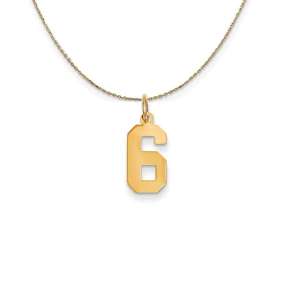 14k Yellow Gold, Athletic, Sm Polished Number 6 Necklace - 20 Inch